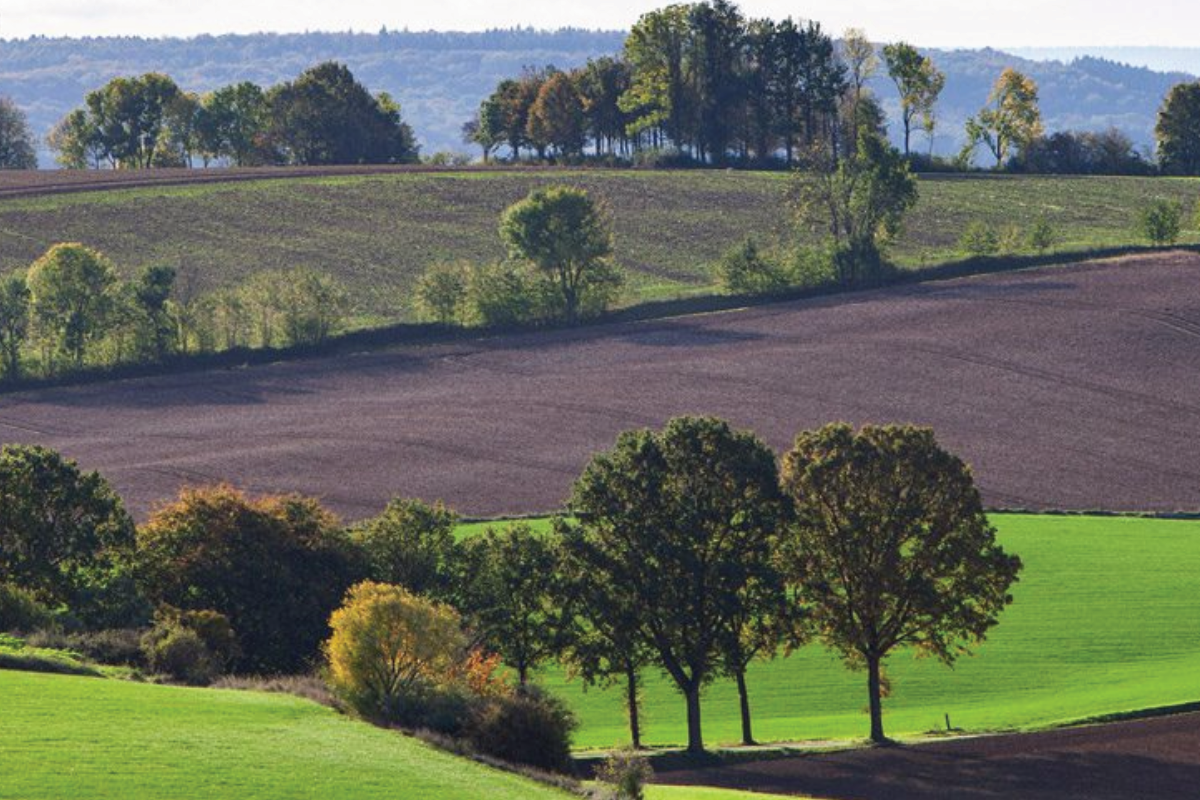 Vakantiehuisjes in Limburg